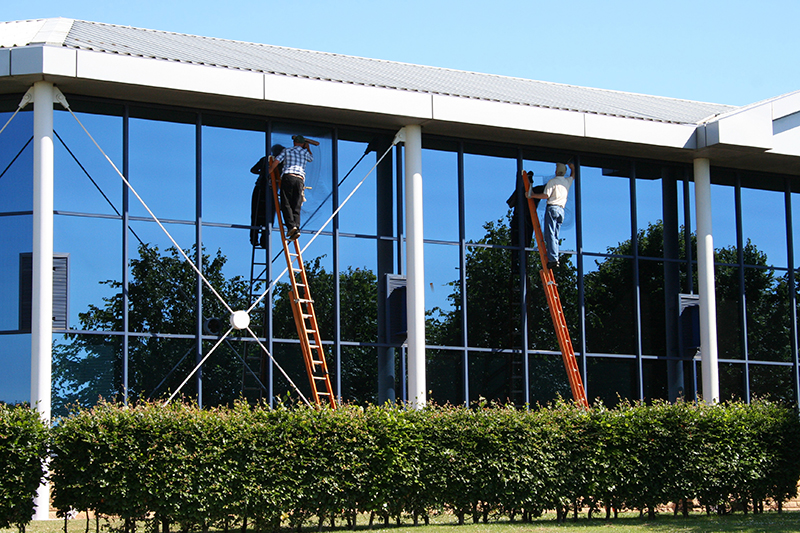 window cleaning